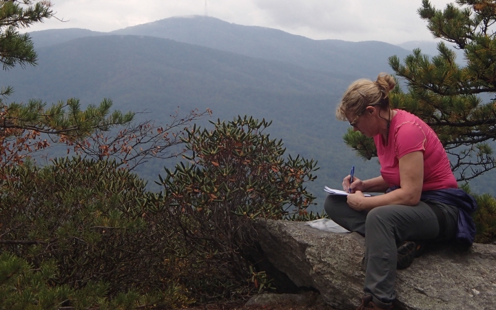 a person sits on a rock while journaling. Behind them are the blue ridge mountains 
